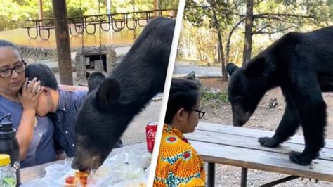 mom son beeg|Video: Mom shields son from black bear as it eats meal in Mexico.